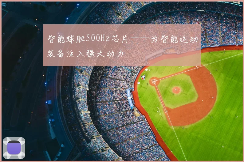 智能球胆500Hz芯片——为智能运动装备注入强大动力